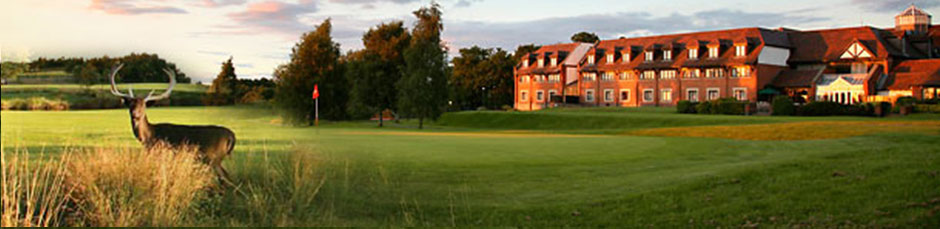 Hotel Information